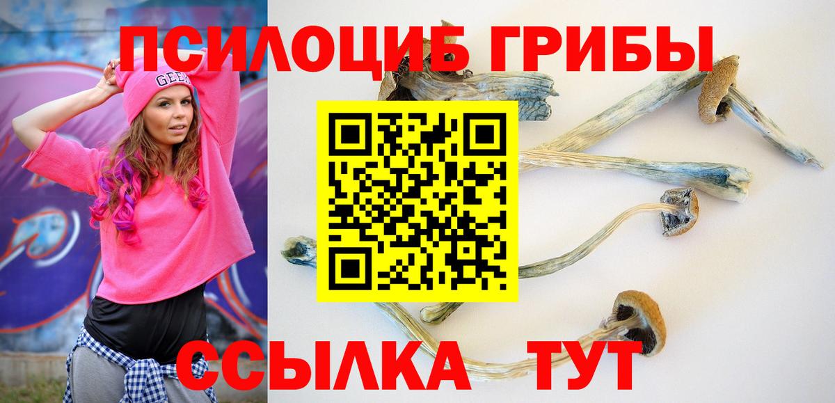 Казань  Галлюциногенные грибы ЛСД  Вход с VPN 